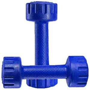 Aurion M1 PVC Dumbbell 1 KG x 2 (Blue)